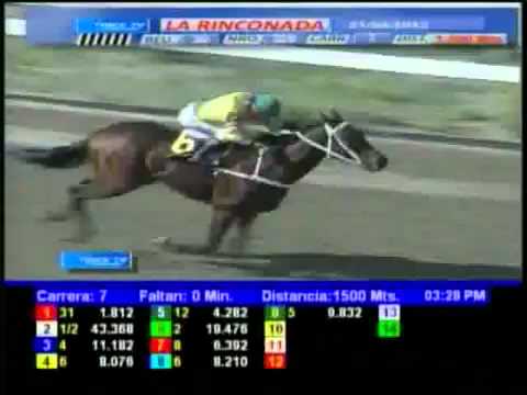 JUEVES 19 DE ABRIL HIPODROMO LA RINCONADA