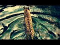 Lyla Foy - Left To Wonder (Julius Abel Remix ...