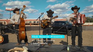 El Caballo Jovero - Galan Norteño (Live Cover)