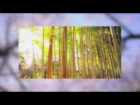 video frame placeholder