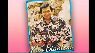 Download lagu Kris Biantoro - Mungkinkah mp3