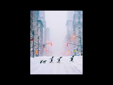 John Foxx & Harold Budd Featuring Ruben Garcia - When the City Stops For Snow (Edit)