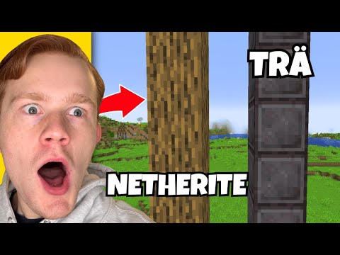 Jag Lurade Min Vän Med Att BYTA Netherite Och Trä i Minecraft..