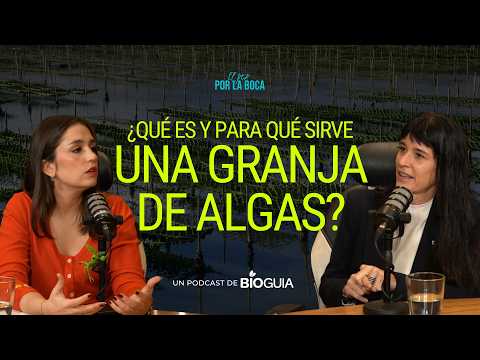 ¿Qué es y para qué sirve una granja de algas?