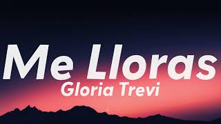 Gloria Trevi - Me Lloras ft. Charly Black