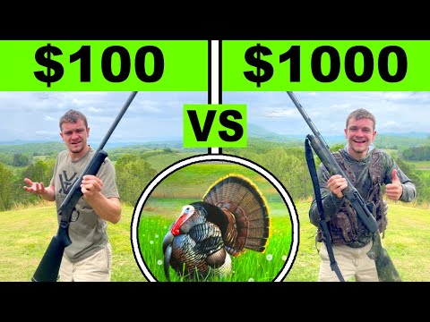 Cheap Vs Expensive Turkey Hunting Challenge!