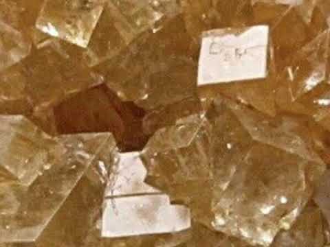 Yellows w/ freshgoodies x Yestalgia - Sailors