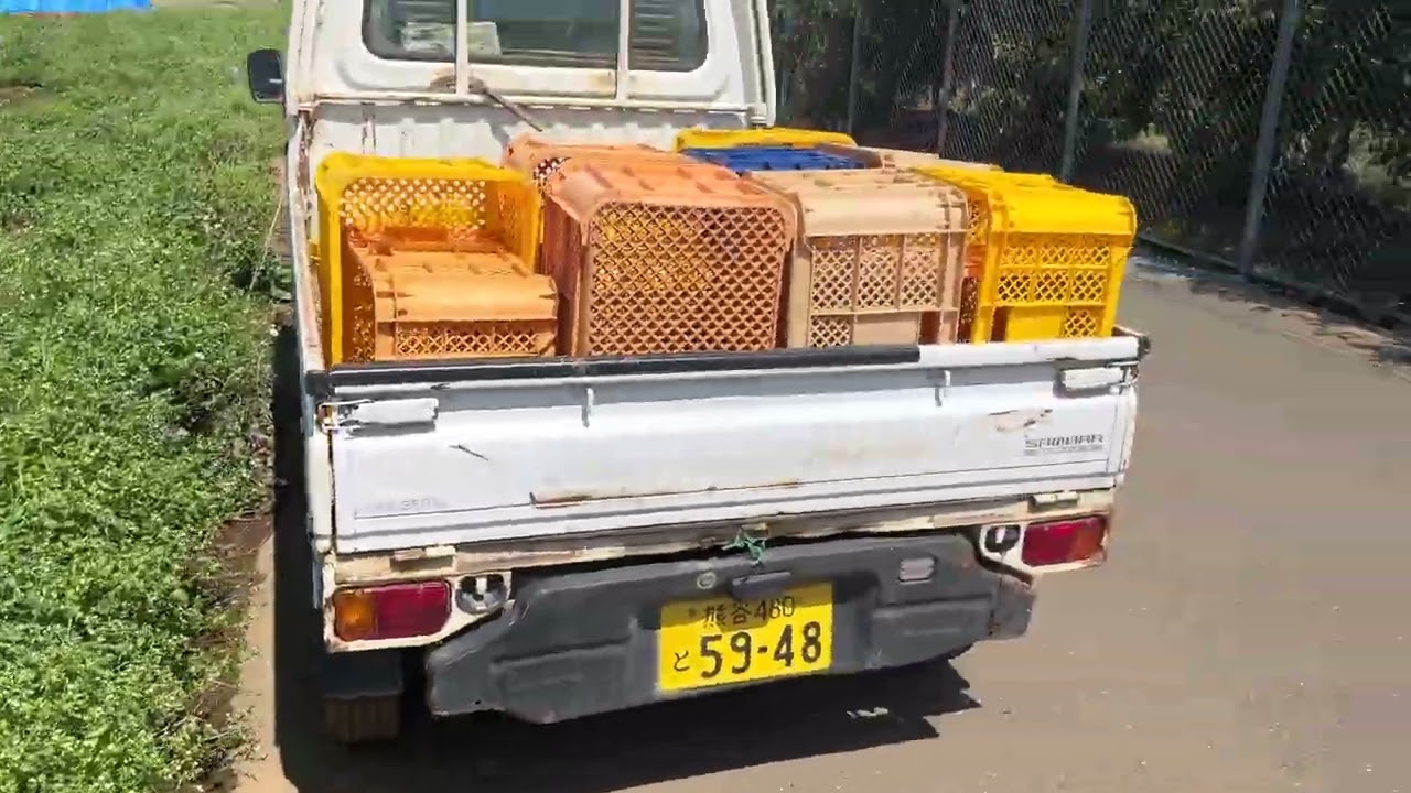 長らくご心配をおかけして申し訳ございません×春の収穫風景×地域内引っ越し完了しました×年明けからの体の不調など260403