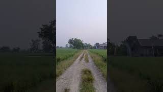 Download lagu menutupi kesedihan dengan senyuman, agar semua orang melihat mu baik baik saja, view salatigi mp3