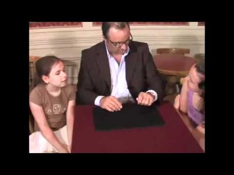 American Hopping Half w/One Dollar & One Quarter Dollar (D0126)