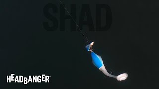 Headbanger wobler Shad 11, 11cm 11g DR