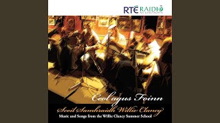 Bláthanna Aontroma (Cornphíopa) , Pléaráca Na Tulaí, Cailíní Chúigiú (Ríleanna)