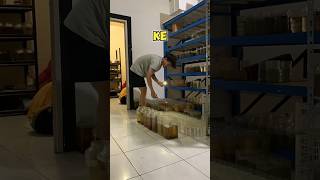 Download lagu If you want to sell betta fish online, what do you need to prepare? mp3