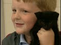 Elmo S World Cats