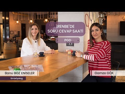 download lagu mp3 mp4 Dal Saati, download lagu Dal Saati gratis, unduh video klip Dal Saati