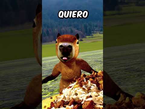CAPIBARA COMIENDO LENTEJAS PERO SU MADRE LE TIRA LA CHANCLA
