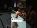 The sound of these punches ?