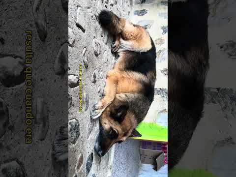 Bosque Pandora en El Peñón Santander 