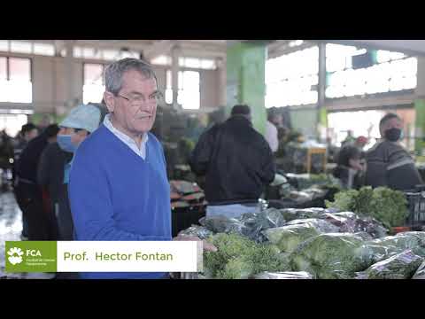 Playa de Comercialización de Productores del Cinturón Verde