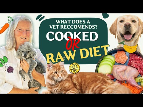 Why cooked-food versus raw food? Dr. Ruth also discusses Cats with urinary tract issues