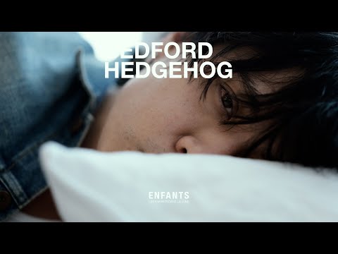 Enfants - Bedford Hedgehog (Official Trailer)