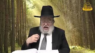 דף היומי בחצי שעה – סנהדרין דף י"ב