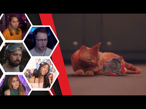 Lets Player's Reaction To B12 His Sacrifice And The City Opening Up - Stray