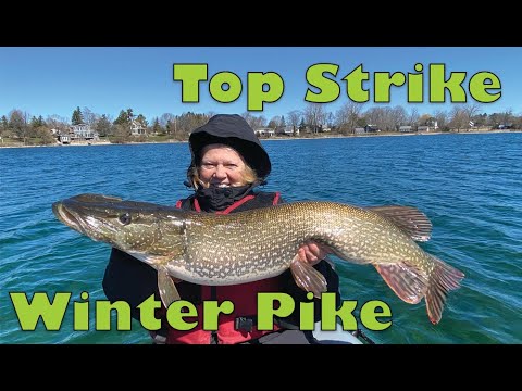 Top Strike Winter Pike