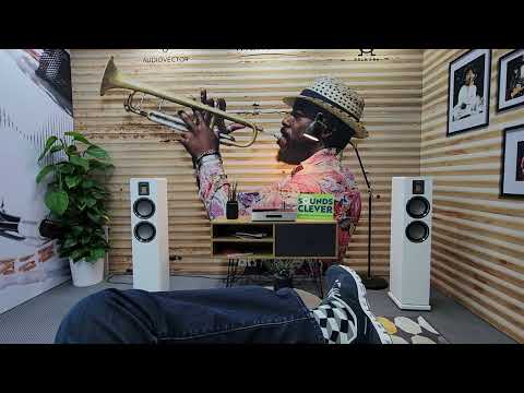 Favorite Budget System at Munich HighEnd 2023 - Primare, Audiovector and Inakustik