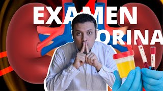 Cómo se recoge la orina de 24 horas 🥵🌈🧭