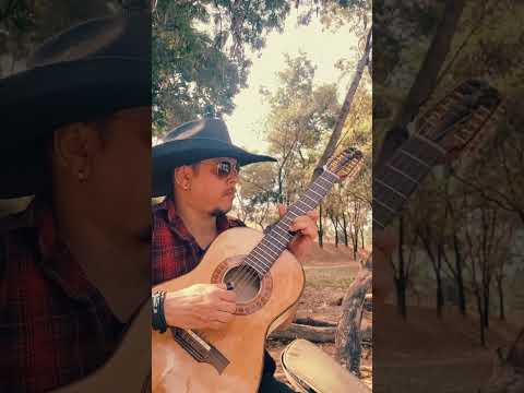 Pagode Brasileiro - Dirceu e Marcelo Viola