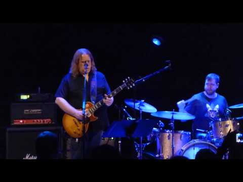 Phil Lesh & Friends - Tomorrow Never Knows 4-14-14 BAM Brooklyn, NY