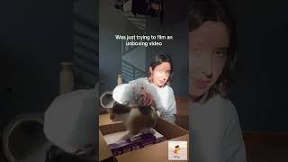 Download lagu Subcribe to our Youtube channel: https://bit.ly/3PptDgS  With Love🤎 #cats #catsvideos mp3
