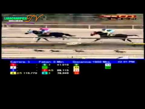 LA RINCONADA 3 CARRERA SABADO 29 DE MARZO DEL 2014