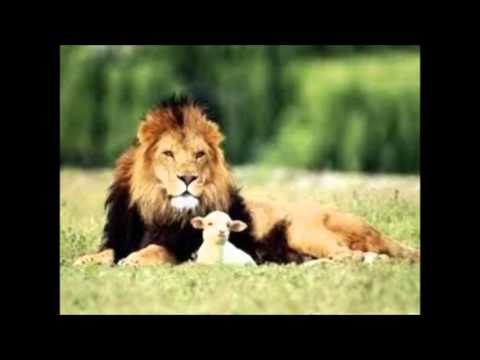 Sortons des traditions d'églises, pour vivre l'église locale, par Henri Viaud   YouTubevia torchbrow