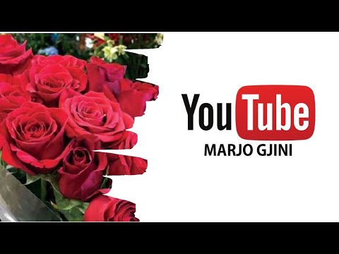 Festa e “Shën Valentinit”| Një popull që dhuron lule! Ja sa shpenzojnë shqiptarët për buqetat…