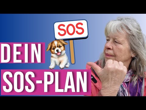 Welpe frisst alles beim Gassi gehen