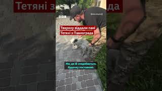Video thumbnail image