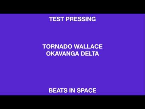 Tornado Wallace 'Okavanga Delta' (Beats In Space)