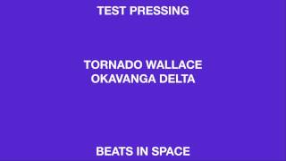 Tornado Wallace 'Okavanga Delta' (Beats In Space)