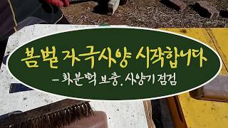봄벌 자극사양을 시작합니다.