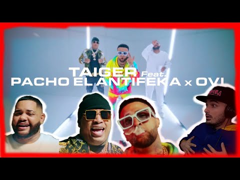 El Taiger feat Pacho el Antifeka y Ovi - Antifeka ( Video Reaccion)
