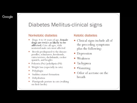 Endocrine Diseases within Animal Species