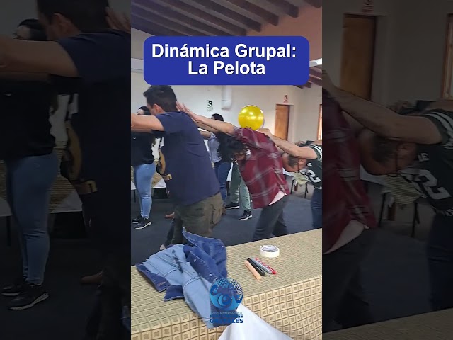 Vídeo relacionado con SVCEQZE Juego de Aprendizaje en Grupo de Trabajo en Equipo, Actividad grupal para Promover el Aprendizaje, Juguetes y Equipos Deportivos para jóvenes y Adultos