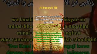 Download lagu Al Baqarah Ayat 155 #quran #surah #surahalbaqarah #salimbahanan #quranrecitation #murrotalmerdu mp3 Download lagu Al Baqarah Ayat 155 #quran #surah #surahalbaqarah #salimbahanan #quranrecitation #murrotalmerdu mp3