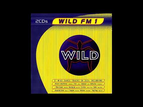 WILD FM 1 MEGAMIX - DIEGO V - EXTENDED [HQ]