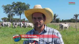 Miniatura do vídeo