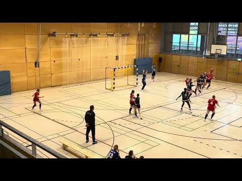 02.02.25 🤾🏼‍♀️ 2. HZ wA JBLH Meisterrunde B Berliner TSC-HSG Bensheim-Auerbach