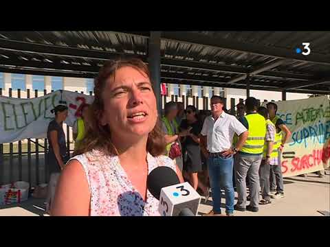 Grève au collège d'Auterive