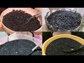 EP 352 BLACK SESAME SEED WITH PASSION FRUIT EATING